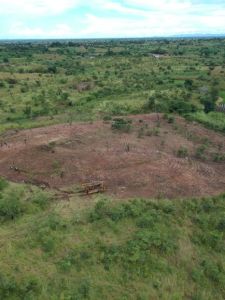 Versuchsfeld in Benga