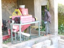 Schaelmaschine Kaffeebohnen