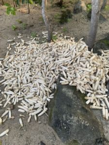 Ernteabfälle für die Pyrolyse