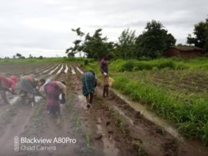 Jugendliche bei der Feldarbeit