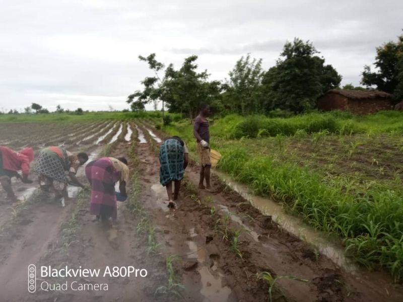 Jugendliche bei der Feldarbeit
