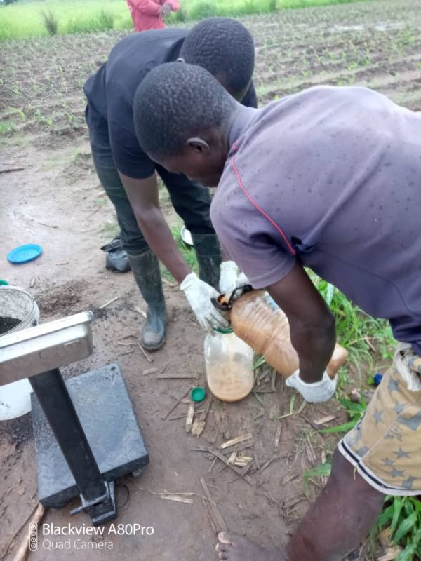 Grundstoffe für die Fermentation