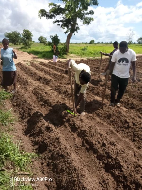 Einbringen von Terra Preta