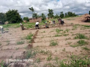 Jugendliche bei der Feldarbeit