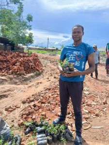 Mitarbeiter der Baumschule pflanzen Baumsetzlinge.