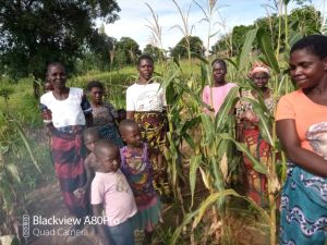 Zufriedene Bäuerinnen bei der Maisernte.