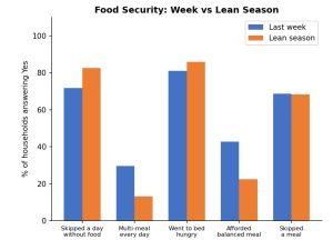 Diagramm zur Ernährungssicherheit in Benga, Malawi