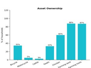 Diagramm privater Besitz in Benga, Malawi