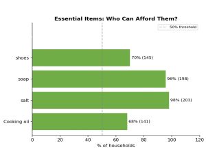 Diagramm Besitz wichtiger Dinge in Benga, Malawi
